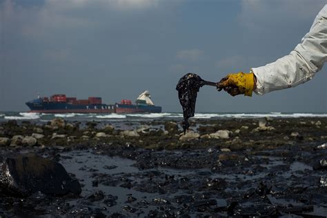 Eco Friendly Methods To Clean Oil Spills Science Times