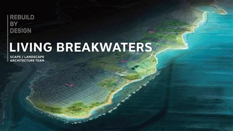 Reviving Ecologies Living Breakwaters Project