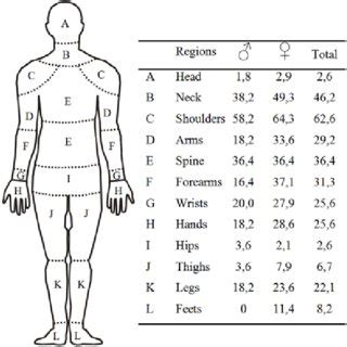 The torso or trunk is an anatomical.torso diagram human anatomy. Human body diagram with the identification of pain/discomfort regions... | Download Scientific ...
