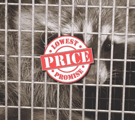 Cal king pest control has a revenue of $17.1m, and 49 employees. Pest Control in Bradford, Vaughan & Newmarket | JDM Pest ...