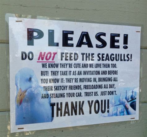 Featuring a picture of a hand and crumbs, this sign says do not feed the animals. Do Not Feed The Seagulls Pictures, Photos, and Images for ...
