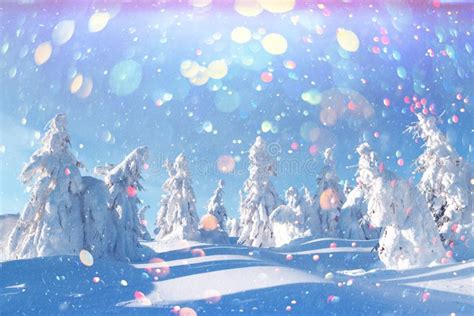 Fantastic Winter Landscape Stock Photo Image Of Place 133566472