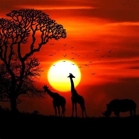 Magical Sunsets On An African Safari Holiday Safari Holidays Safari