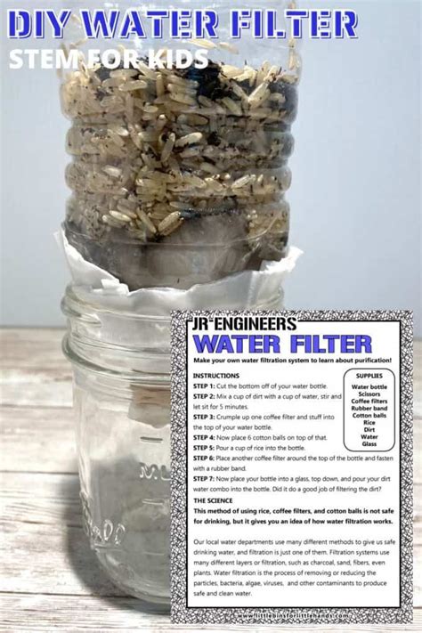 Homemade Water Filter Science Project My Bios