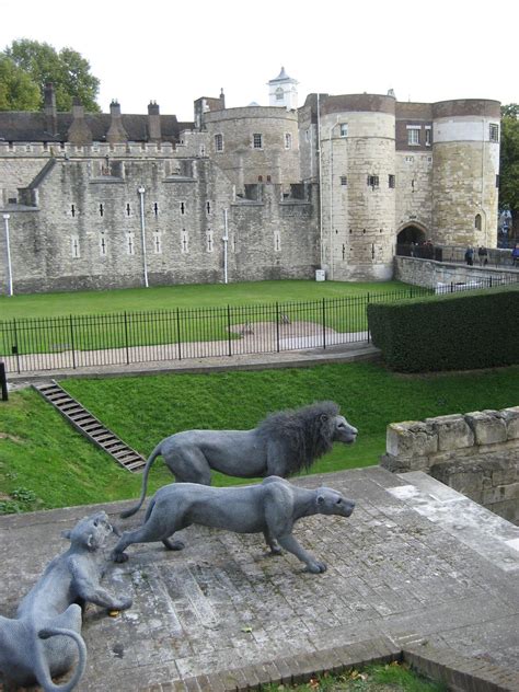 The Tower Of London And The Barbary Lions Of The Ancient Menagerie