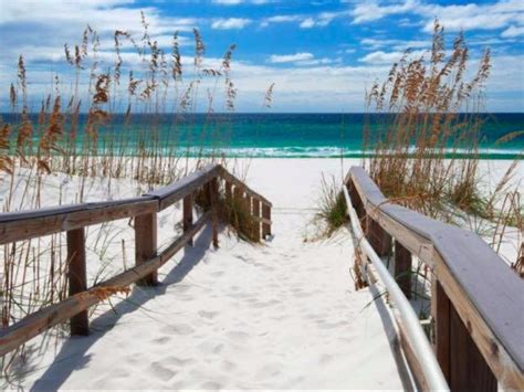 Maybe you would like to learn more about one of these? 10 Best Things To Do in Pensacola, Florida - Trips To Discover