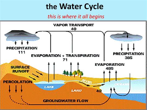 Ppt The Water Cycle Powerpoint Presentation Free Download Id2297322