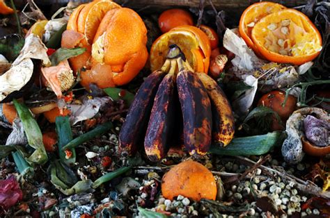 Westelm.com has been visited by 100k+ users in the past month Podrido Viejo Frutas Y Verduras Frutas Y Residuos ...