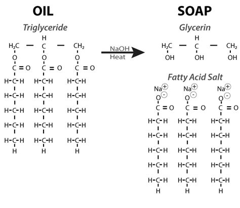 Basic Chemical Makeup Of Lipids Saubhaya Makeup