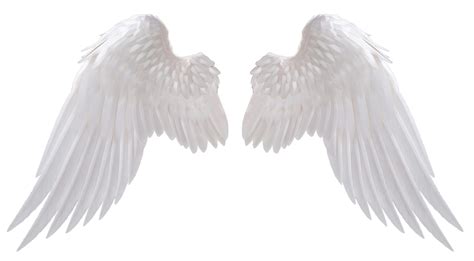 Angel Wings By Hz Designs On Deviantart