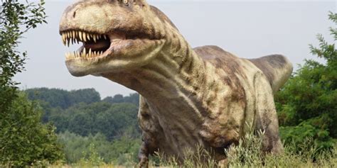 There are animals you associate with the uk and then there are some animals that you would never dream of encountering. 5 Most Amazing Extinct Animals in the World