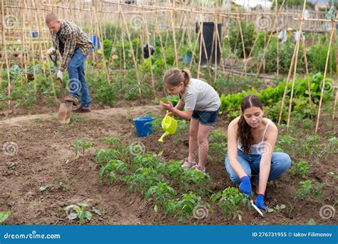 Daughter Helps Mother Clean Weeds In Farmer Garden Beds Stock