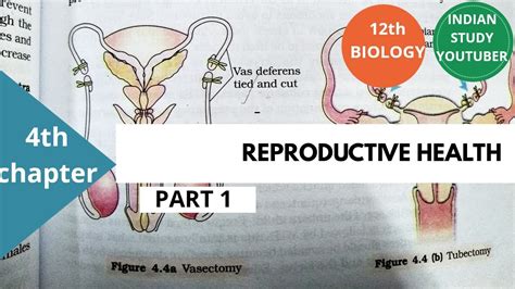 ncert class 12th biology chapter 4th reproductive health part 1 youtube