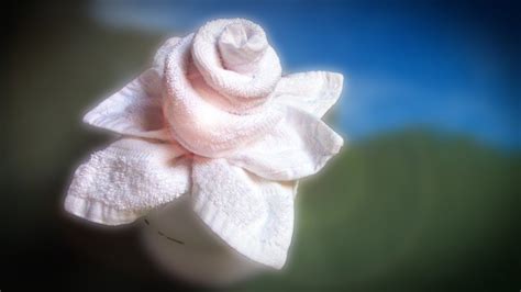 Towel Folding How To Make Rose Flower From Washcloths Towel Art