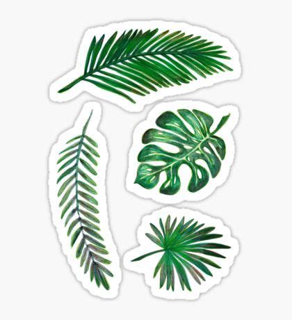 Estas plantas extintas del planeta pertenecen al período geológico de la prehistoria, iniciando en el devónico y finalizando en el pleistoceno se trata de plantas terrestres que habitaron nuestro planeta hace 425 millones de años en australia y gran bretaña. Pegatinas | Pegatinas, Pegatinas wallpaper, Pegatinas bonitas
