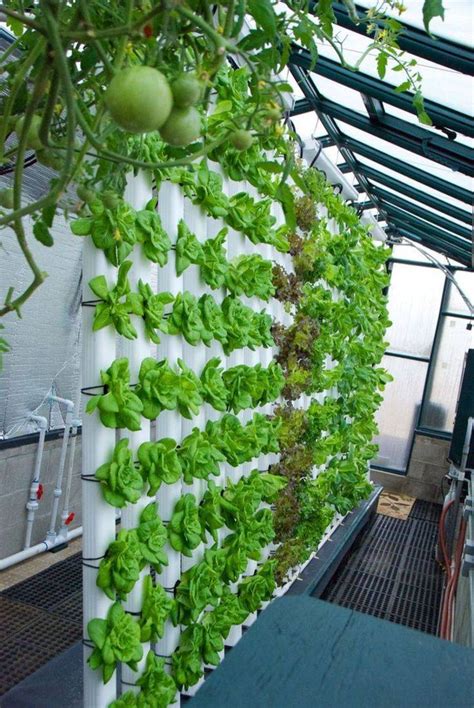 21 Hydroponic Wall Garden Ideas You Must Look Sharonsable