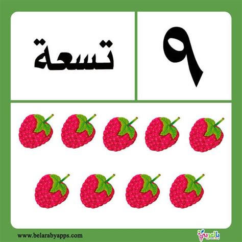 بالعربي رقم واحد للاطفال اروردز