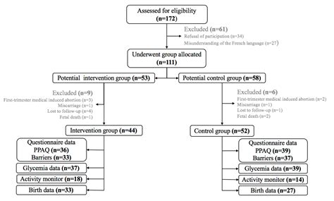 Ijerph Free Full Text Prenatal Counseling Throughout Pregnancy