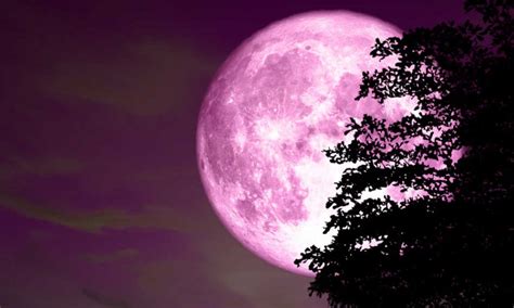 A pink moon will be visible in the sky this week, as the april full moon comes into view across the uk. Pink Moon 2019: Date, time and everything about April's ...