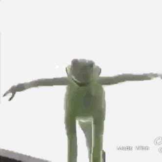 Kermit the frog on cocaine hybrid rubber protective phone case. Switching Class System - Allgemeine Diskussionen - Revelation Online Forum