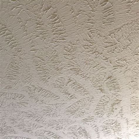 How to do everything i've learned, tips to make things. DIY Textured Ceiling Removal Update and Jerry's Birthday ...