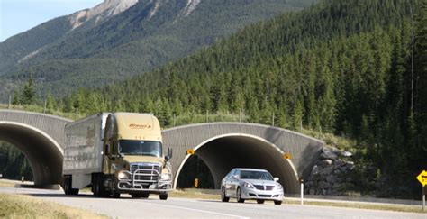 9 Essentials Of Sharing The Road Safely With Trucks