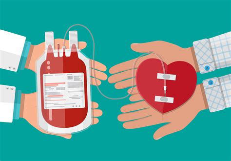 Por Qué Es Importante Donar Sangre E Inscribirse Como Donante De Médula