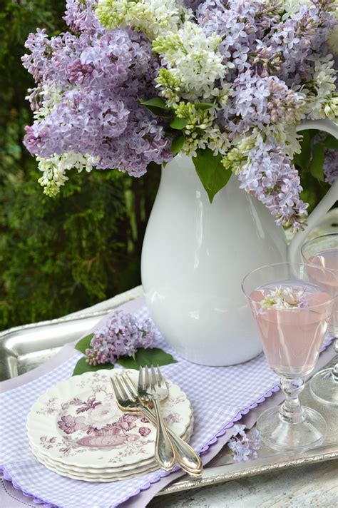 8 Tips For Caring And Growing Beautiful Lilac Bushes