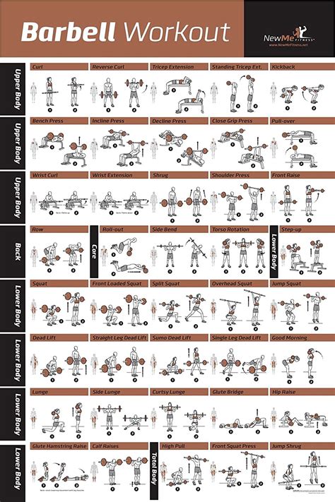 BARBELL WORKOUT EXERCISE POSTER LAMINATED Home Gym Weight Lifting Chart Build Muscle Tone