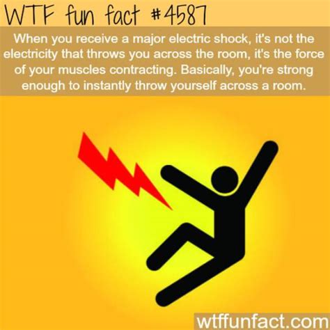 The increased electricity used by modern appliances is causing a shift. Weird Facts That Are Almost too Crazy to be True (25 pics) - Izismile.com