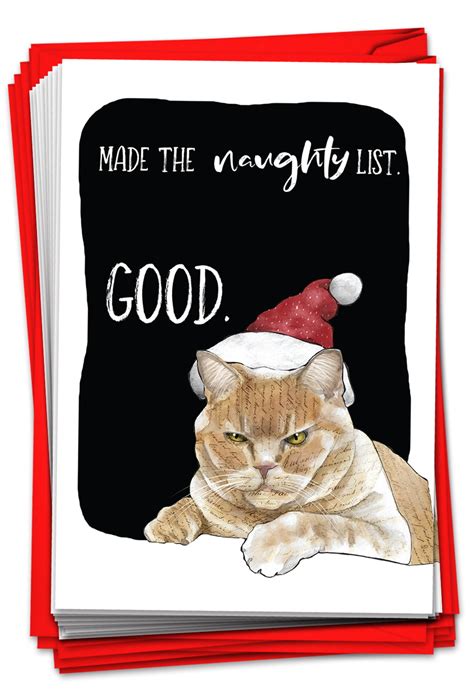 12 Funny Cat Christmas Cards Bulk Boxed Set Pet Cat In Santa Hat 1