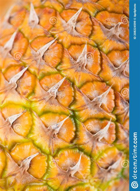 Ripe Whole Pineapple Isolated On The White Stock Image Image Of