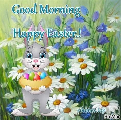 Happy Bunny Good Morning Easter Pictures Photos And Images For
