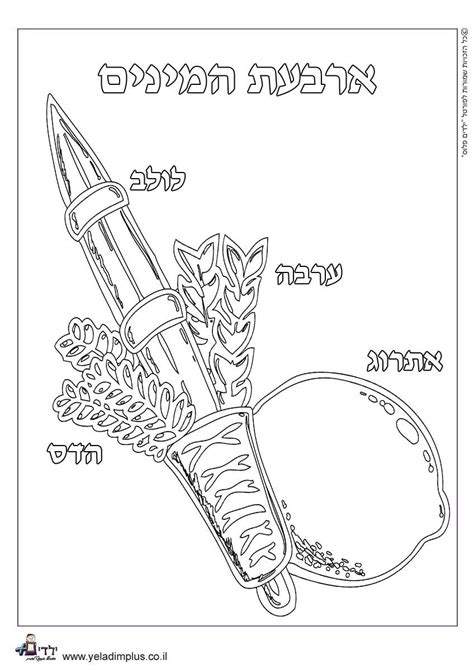 Sukkot Coloring Page Mystery Of History Volume 1 Lesson