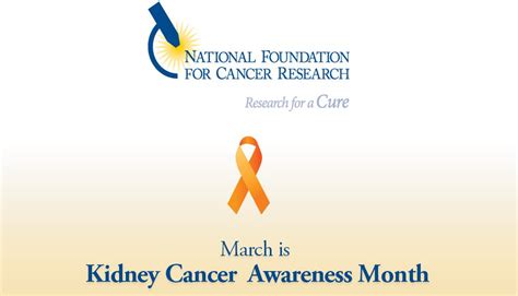 Kidney Cancer Facts And More Types Of Cancer Nfcr
