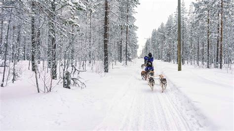 The Best Rovaniemi Tours And Things To Do In 2022 Free Cancellation