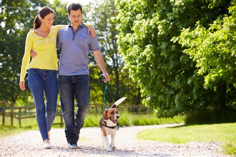 10 Reasons To Start Walking Today The Leaf Nutrisystem