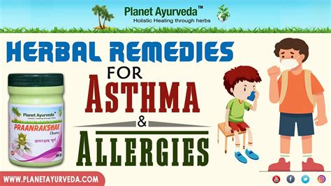 Herbal Remedies For Asthma And Allergies Ayurvedic Treatment Youtube