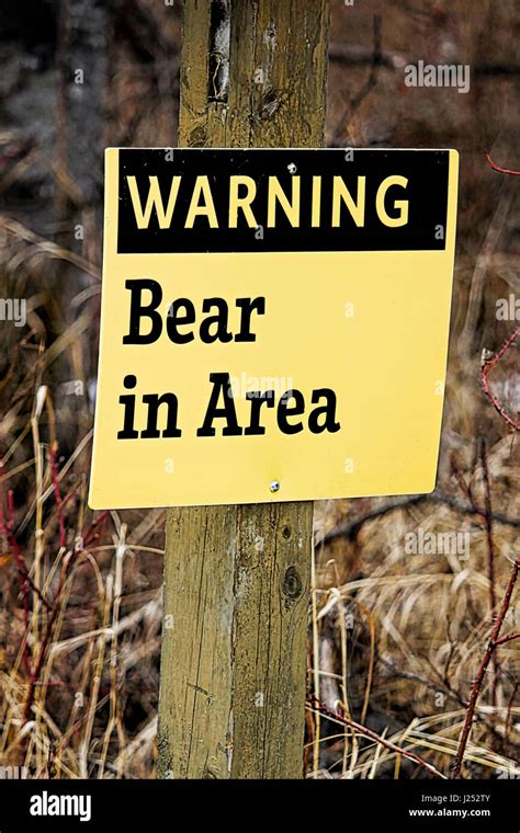 Bear Warning Sign Canada Hi Res Stock Photography And Images Alamy