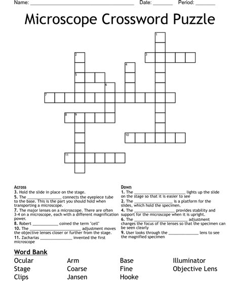 Microscope Crossword Puzzle Answer Key