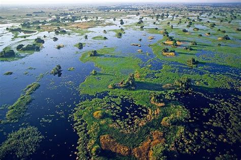 Victoria Falls And Okavango Delta Safari 9 Day Safari With Us