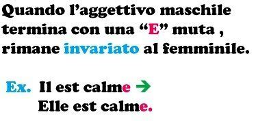 Se non ti ricordi come si formano i sostantivi femminili, consulta. femminile - Méthode
