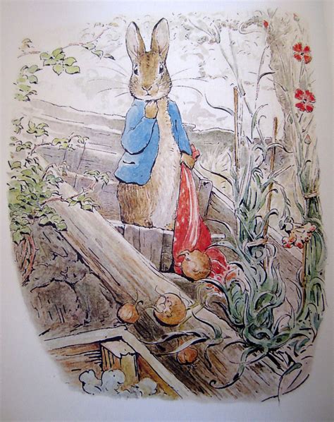 Beatrix Potter The Tale Of Ginger And Pickles Ginger Pickels Shop 1909