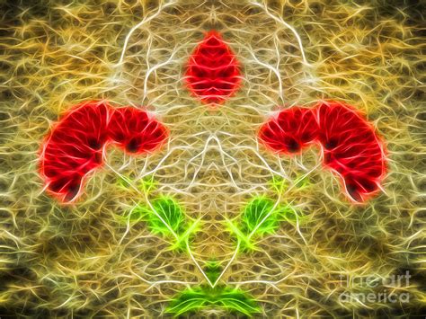 Floral Fantasy 13b Photograph By Mike Nellums Fine Art America