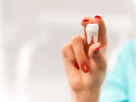 Wisdom Teeth Frequently Asked Questions Roam Dental Shelby