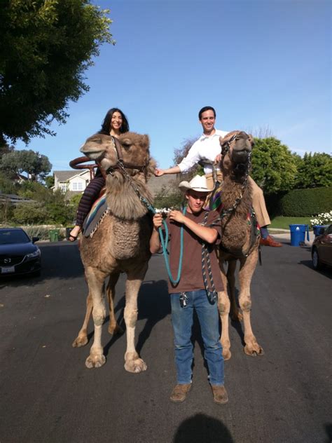 Visitors can top off their experience with pony, camel and wagon rides. Fairs - Giddy Up Ranch