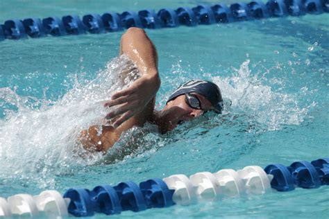 Swimming and Diving Completes Competition At All-Florida Invitational ...