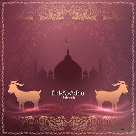 Eid Al Adha Bakrid Mubarak Wishes Mubarak Images And Quotes