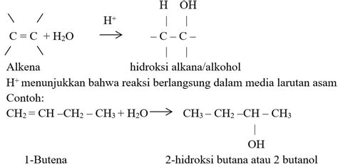 Reaksi Reaksi Yang Terjadi Pada Alkana Alkena Dan Alkuna Pada Senyawa