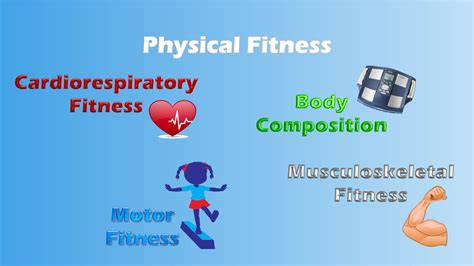 Flexibility is one of the most important, yet often overlooked, components of physical fitness. Physical Fitness Assessment | PhD Research